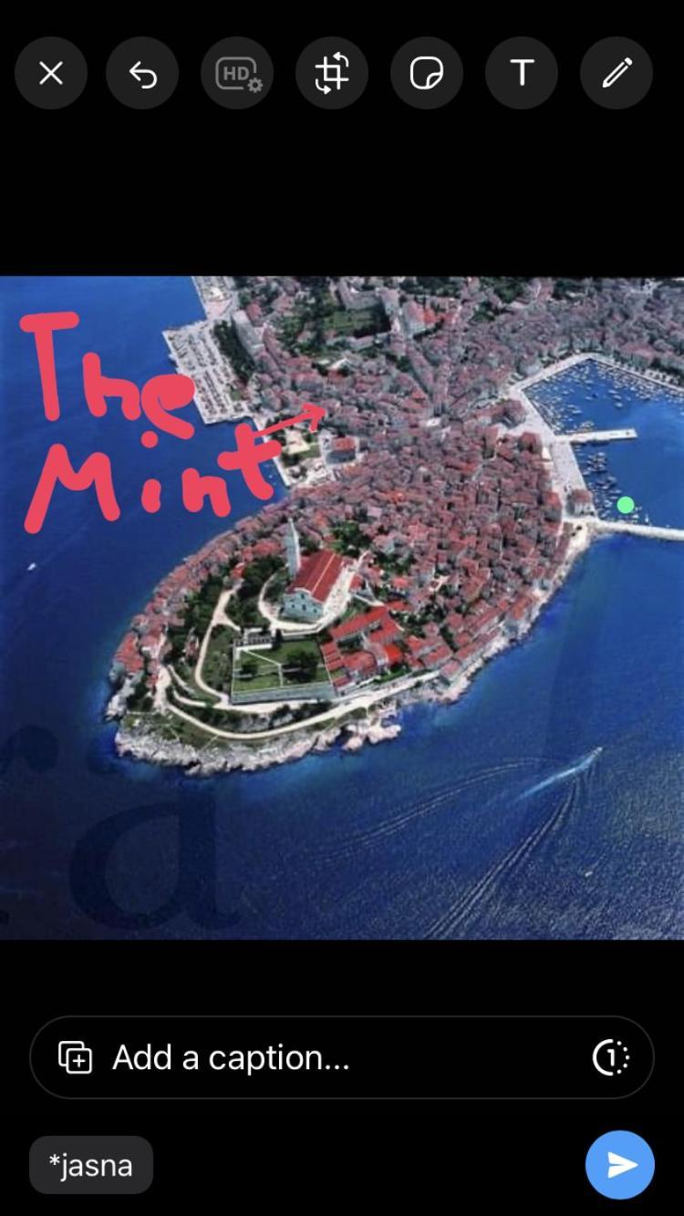 The Mint Guest house *